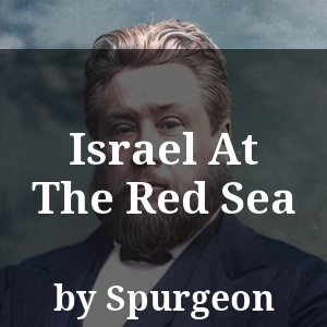 Israel At The Red Sea