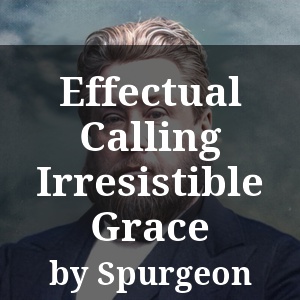 Effectual Calling Irresistible Grace