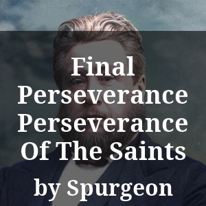 Final Perseverance Perseverance Of The Saints