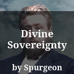 Divine Sovereignty