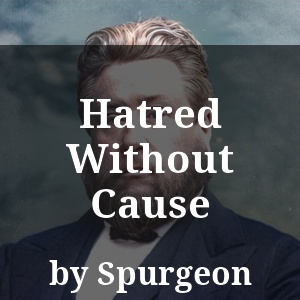 Hatred Without Cause