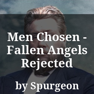 Men Chosen - Fallen Angels Rejected