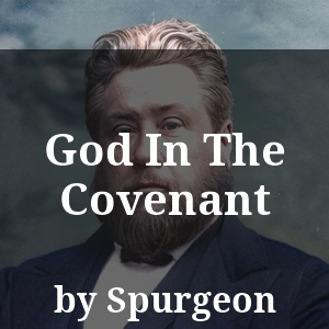 God In The Covenant