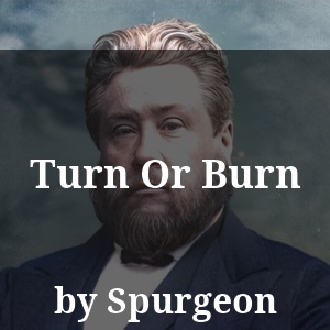 Turn Or Burn