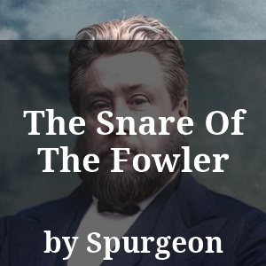 The Snare Of The Fowler