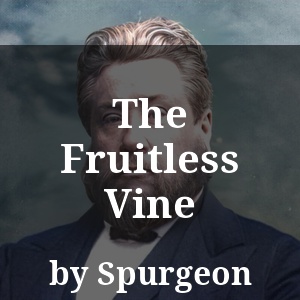 The Fruitless Vine