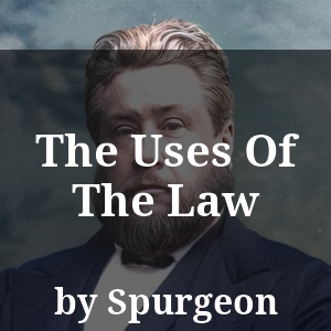 The Uses Of The Law