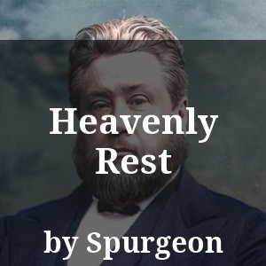 Heavenly Rest