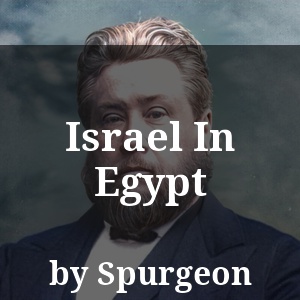 Israel In Egypt