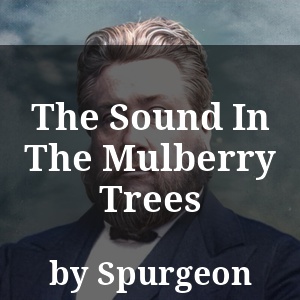 The Sound In The Mulberry Trees