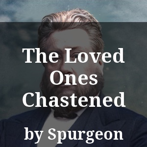 The Loved Ones Chastened