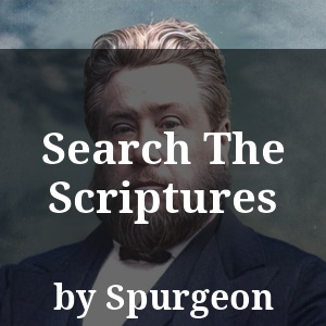 Search The Scriptures