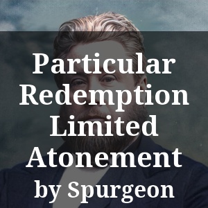 Particular Redemption Limited Atonement