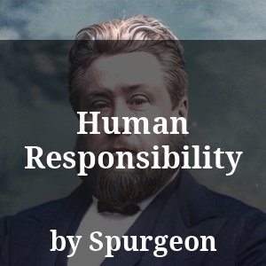 Human Responsibility