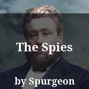 The Spies