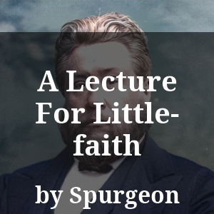 A Lecture For Little-faith