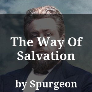 The Way Of Salvation