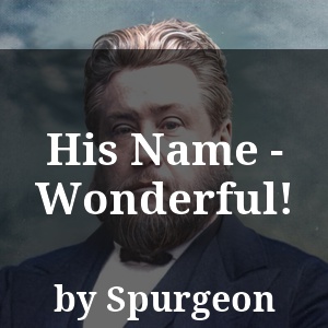 His Name - Wonderful!