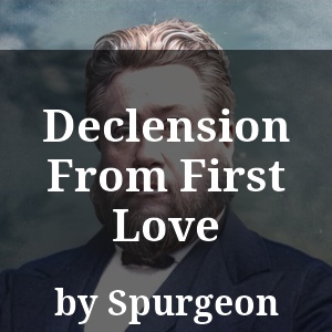 Declension From First Love