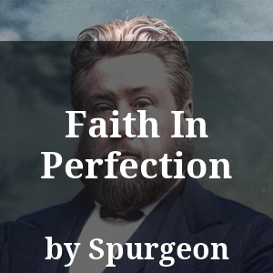 Faith In Perfection