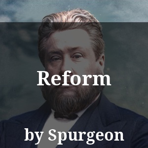 Reform