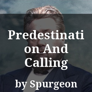 Predestination And Calling