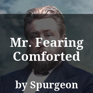 Mr. Fearing Comforted