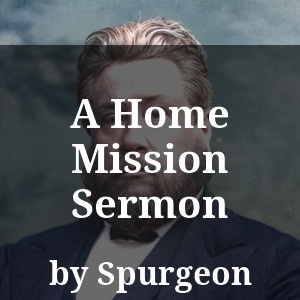 A Home Mission Sermon