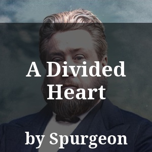 A Divided Heart