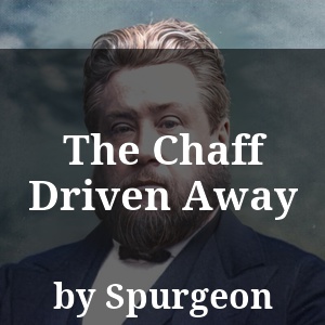 The Chaff Driven Away