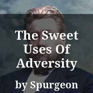 The Sweet Uses Of Adversity