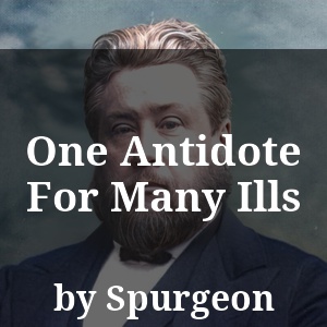 One Antidote For Many Ills