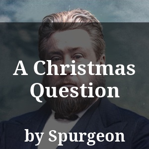 A Christmas Question