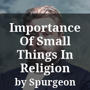 Importance Of Small Things In Religion