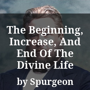 The Beginning, Increase, And End Of The Divine Life