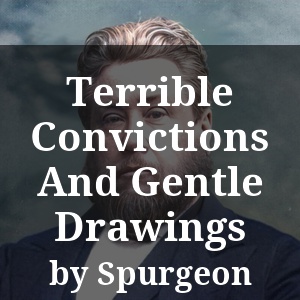 Terrible Convictions And Gentle Drawings