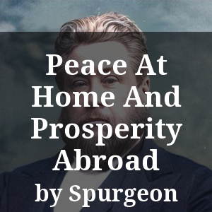 Peace At Home And Prosperity Abroad