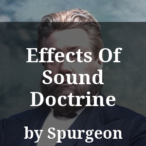 Effects Of Sound Doctrine