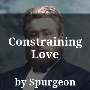 Constraining Love