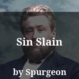 Sin Slain