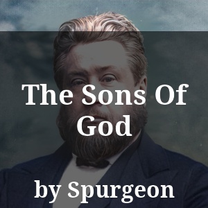 The Sons Of God