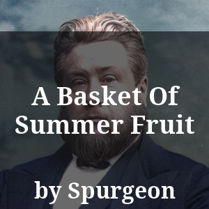 A Basket Of Summer Fruit