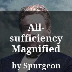 All-sufficiency Magnified