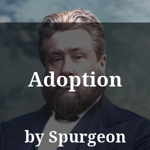 Adoption