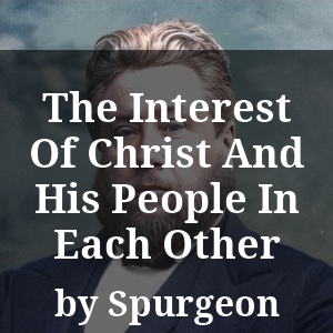 The Interest Of Christ And His People In Each Other