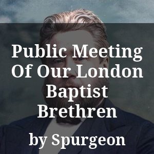 Public Meeting Of Our London Baptist Brethren