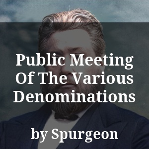 Public Meeting Of The Various Denominations