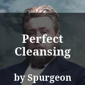 Perfect Cleansing