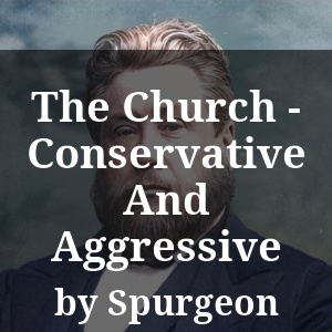 The Church - Conservative And Aggressive