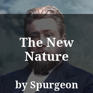 The New Nature